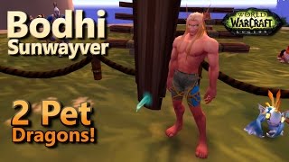 Bodhi Sunwayver Dragons Family Familiar Fight Night 2 Pet Leveling Strategy