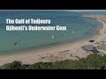 The Gulf of Tadjoura: Djibouti's Underwater Gem