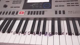 Tere Naam Title Song Keyboard Cover|Piano|Harmonium|How to play song on piano chords