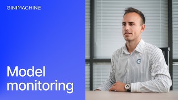 Why Monitor the Performance of an ML model?