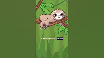 #riddle #animation #funny #brain #fun #jokes #mindtestchallenge #1k #shortsfeed #shortvideo #shorts