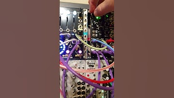 Modular Patch Notes - SWN by 4ms plus Ruina Versio by Noise Engineering #shorts