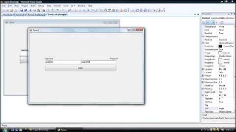Visual Basic 2008 Basic Login Box
