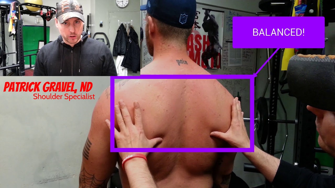 exercise 14.1 class 11 *REVISED*The Quick Solution to Hunchback Posture:Fixing Shoulder Blade Posture: NAP 6DS