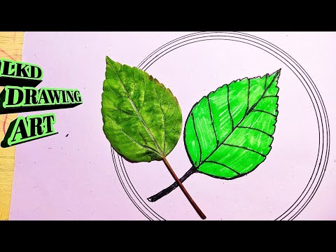 Patti drawing. how to easy drawing of Patti. - YouTube