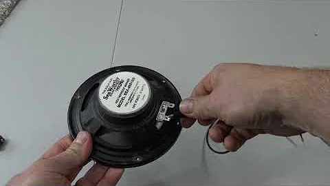 How To Find Which Speaker terminal is Positive or Negative