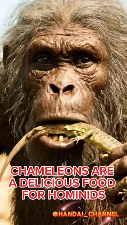 ANCIENT INSTINCT: HOMINIDS CATCH AND EAT A CHAMELEON.     #hominid #chameleon #shorts #youtube