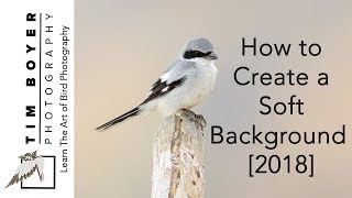 How To Create A Soft Background [2018] screenshot 4