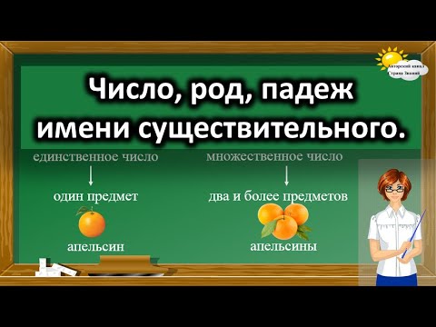 Русский язык. Число, род, падеж имени существительного.