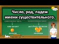 Русский язык. Число, род, падеж имени существительного.