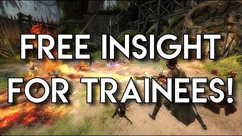 9 Raid Trainees Get A Free Insight! (Bandit Trio Guide)