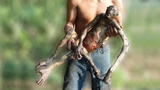 БЕЛГІСІЗ ЖАРАТЫЛЫС ИЕЛЕРІ...