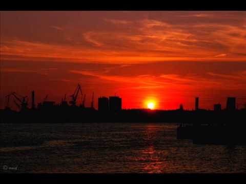 Matthew Florianz — Matthew Florianz - Los  (da Los  2011)