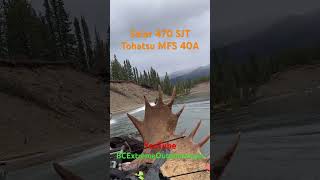 2025 Moose Hunt -Solar 470 SJT #shorts #hunting