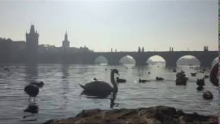 Visiter Prague en 3 jours !