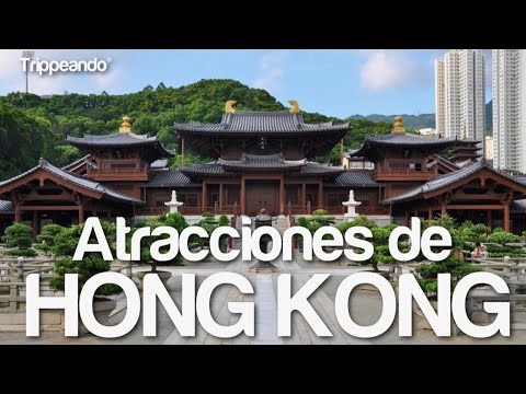 Video: Las 20 mejores atracciones turísticas de Hong Kong