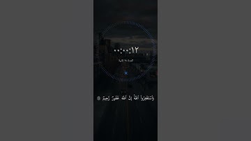 و استغفروا الله إن الله غفور رحيم #شريف_مصطفى #حالات_واتساب #قرآن_كريم #قرآن #سورة_البقرة