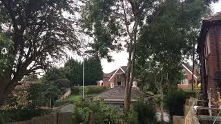 Aerial tree dismantle in time lapse by www.treestylearb.com