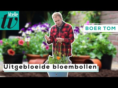 Video: Bloembollen bewaren - Hoe bewaar je bloembollen in het zuiden