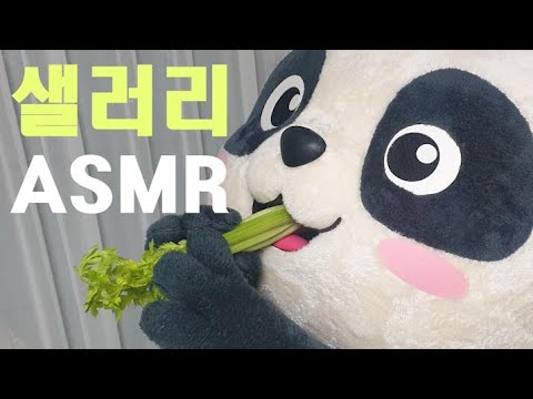 Video: Panda Celery - Hautajuta