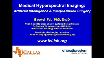 Medical Hyperspectral Imaging: Artificial Intelligence and Image-Guided Surgery