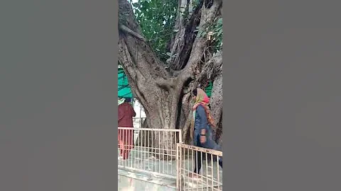 Bhandirvan #vrindavan #bhandirvan #vlog #little Achyut vlog #tourism #iskcon #yatra #travel