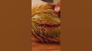 Satisfying Fruit Cutting | Monkey Mango Fruit Cut ASMR in Hyperreal Slow-Mo #Shorts