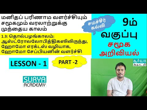 9th History| தொல்பழங்காலம் ஆஸ்ட்ரோலலோபித்திகஸிலிருந்து,ஹோமோ எரக்டஸ் வழியாக,ஹோமோ சேப்பியனின் வளர்ச்சி