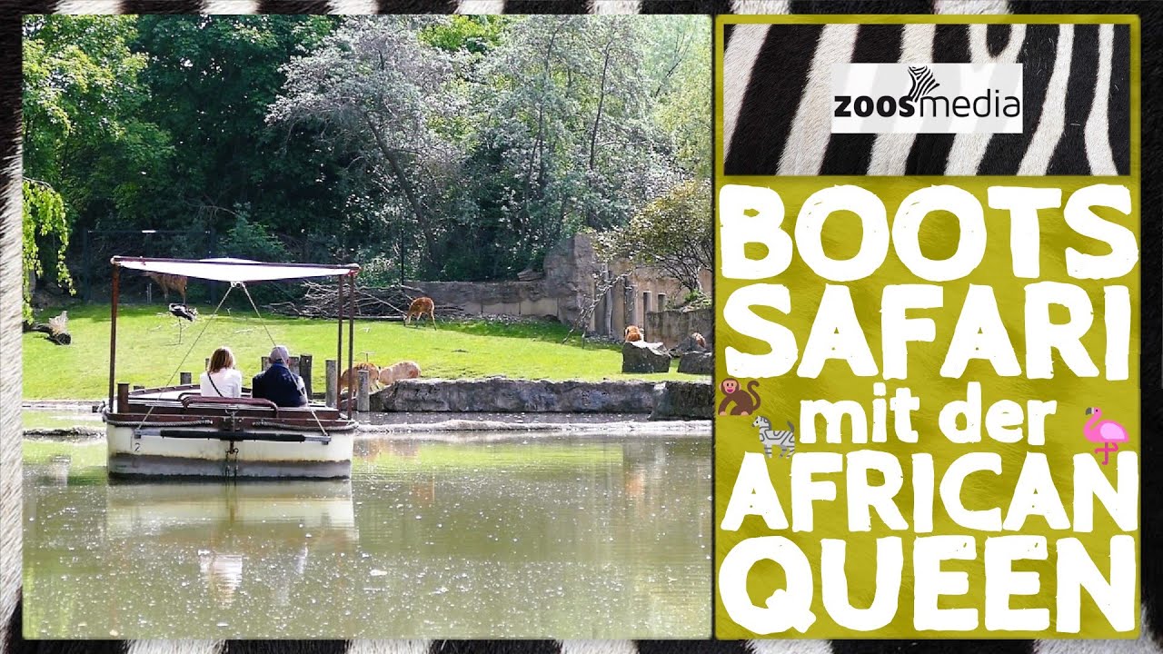 ZOOM Erlebniswelt Gelsenkirchen: BOOTSSAFARI mit der African Queen | zoos.media