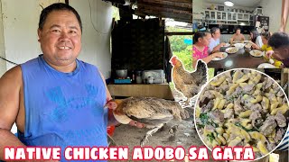 NAGKARNE SI PAPA NG DALAWANG INAHING MANOK | NATIVE CHICKEN ADOBO SA GATA W/ SAGING NA SABA