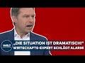 RHEINLAND-PFALZ: "Situation dramatisch!" Wirtschafts-Experte alarmiert! Kann sich SPD noch retten?