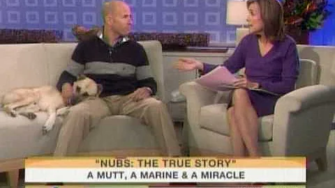 Nubs: The True Story of a Mutt, a Marine & a Mirac...