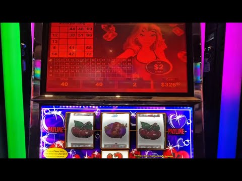 Magical Amazon | Monto Mensual - Julio | Dubai Palace Casino
