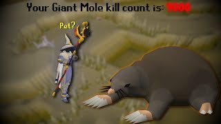 I Spent A Week At The Giant Mole