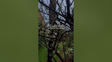 الله يبدأ الخلق ثم يعيده ثم إليه ترجعون .. سورة الروم .. عبد الرحمن مسعد