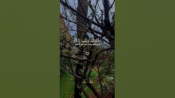 الله يبدأ الخلق ثم يعيده ثم إليه ترجعون .. سورة الروم .. عبد الرحمن مسعد