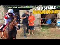 REVIEW 6 EKOR KUDA PACU  JALU STABLE GARUT JABAR MENUJU JATENG DERBY 2024 !!