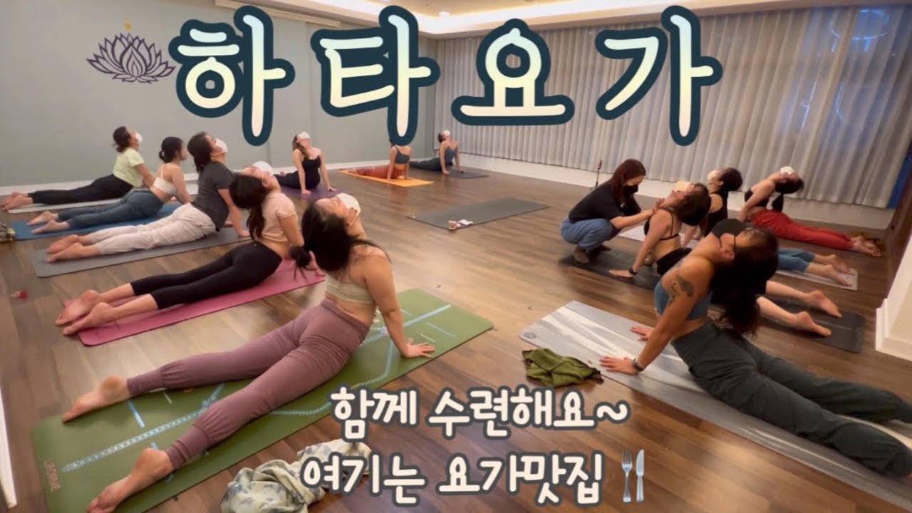 [엔젤요가] 하타요가수련 | 오늘부터 1일 | 함께 수련해요!~! | 여기는 요가맛집 | 홈수련 | 랜선요가 | yoga ...
