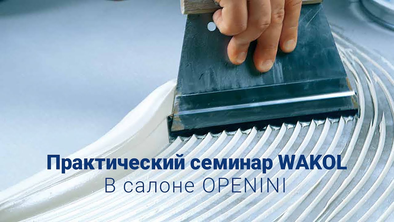 Практический семинар компании WAKOL (Германия) 2019 в Минске