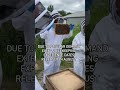 New beekeeping experience dates available on 17th and 25th August.