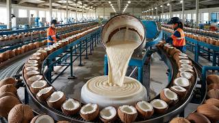 Millions Of Coconut Oil Are Processed Into Coconut Milk in a Factory - Modern Technology Technology