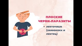 Жизненный циклы плоских червей-паразитов. Широкий лентец