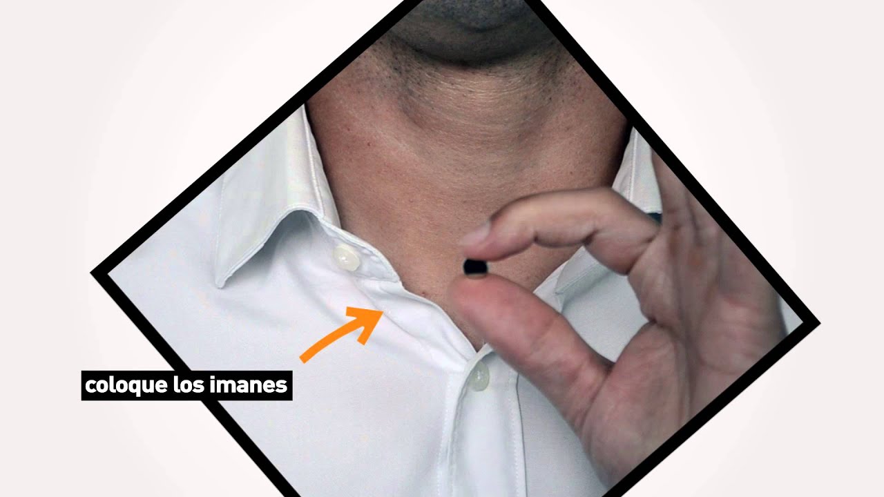 Cuello de camisa perfecto. Ballenas magneticas Volhner - YouTube
