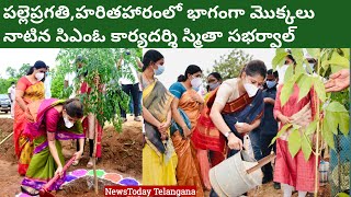 Smita Sabharwal IAS Participated in Harithaharam And Palle Pragathi at Vanaparthi|NewsTodayTelangana screenshot 5