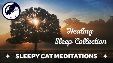 The Healing Sleep Collection (Muscle Relaxation, Sleep Meditation for Anxiety & Guided Sleep Story)