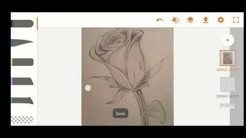 Adobe illustrator Rose Part-1