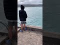 少年がオーストラリアでデカい青魚を釣る！