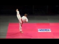 David Luo form 2014