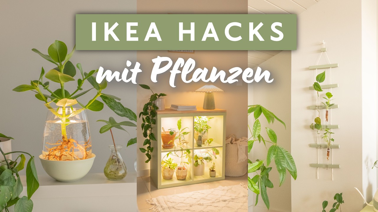 3 geniale IKEA Pflanzen-Hacks 🌿 KALLAX Regal, Wasserpflanze mit Licht & Ablegerstation