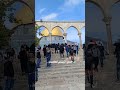 تأتي الشدائد ساعه وتغيب المسجد الأقصى